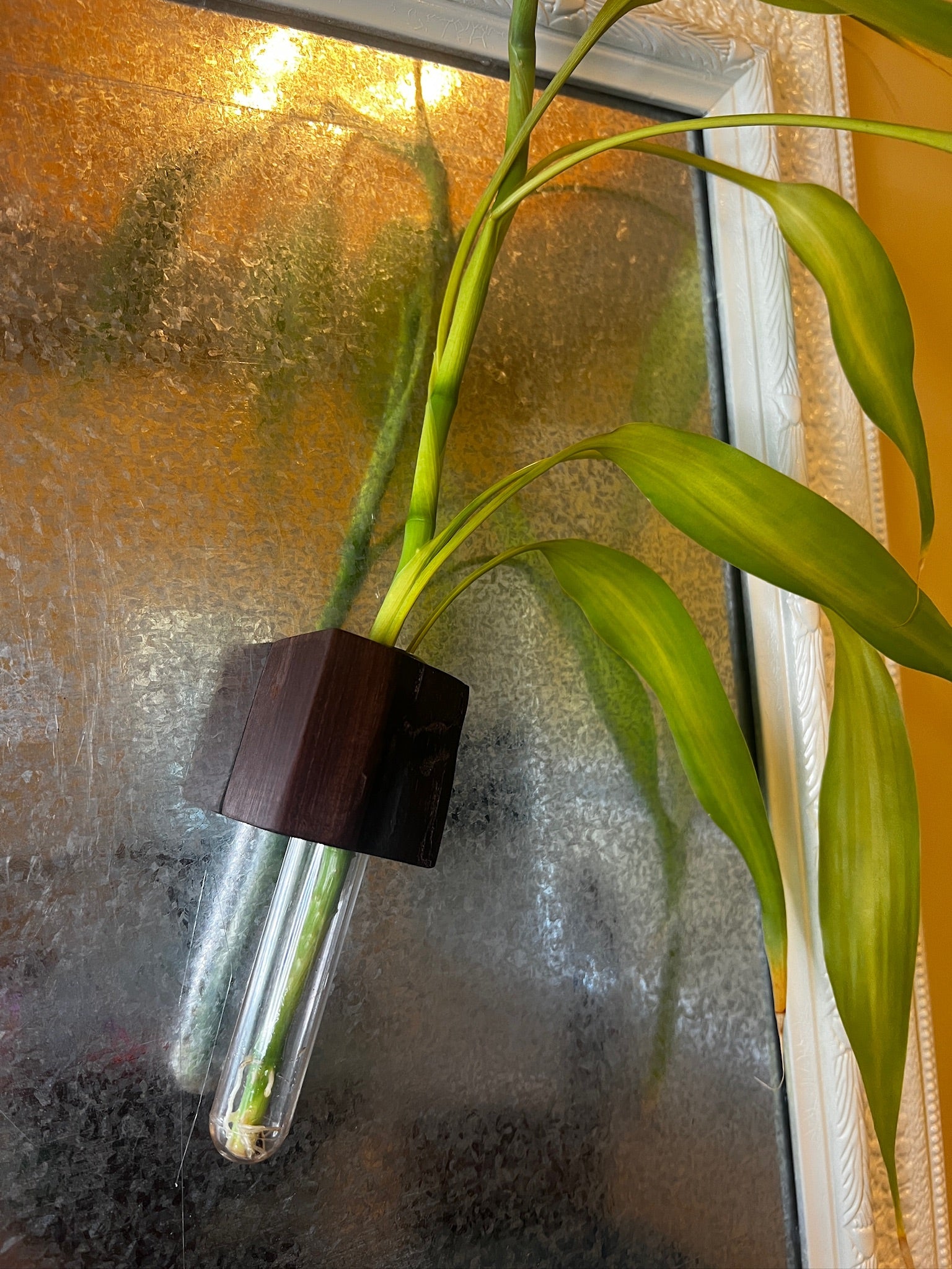 Magnetic Walnut Vase